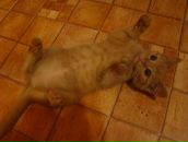 Фотография Сергеевны Анастасии