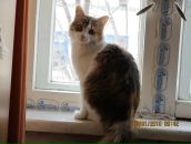 Фотография Лодоркиной Марии