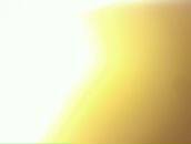 Фотография Аммосова Станислава