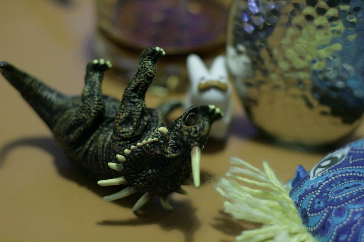 Анна Банч фотография #50