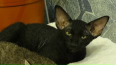 Фотография Симоновой Натальи