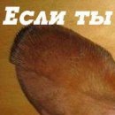 Валерій Мурашко фотография #41 (источник - https://vk.com/id151703099)