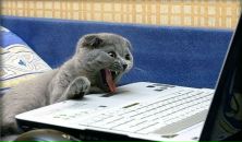 Фотография Клинкова Александра