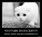 Любовь Духанова фотография #38 (источник - https://vk.com/id5068523)