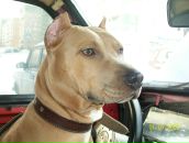 Фотография Алипатовой Анастасии