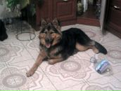 Міша Мостовий фотография #6 (источник - https://vk.com/id9774171)