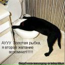 Фотография Валентина Дедурова