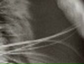 Саша Іскрицька фотография #21 (источник - https://vk.com/id73247965)