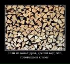 Фотография Васильевой Людмилы