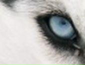 Иван Опарин фотография #42 (источник - https://vk.com/id200144)