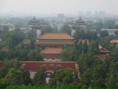 Илья Лычагин фотография #25 (источник - https://vk.com/id225448)