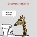 Фотография Армашова Сергея