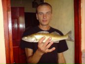 Саша Сергіенко фотография #30 (источник - https://vk.com/id89928428)