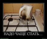 Андрій Петрович фотография #7 (источник - https://vk.com/id54547535)