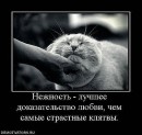 Фотография Латышенко Анастасии