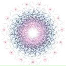 Дмитрий Рыбин фотография #16 (источник - https://vk.com/id2546130)