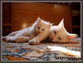 Фотография Крашаковой Натальи