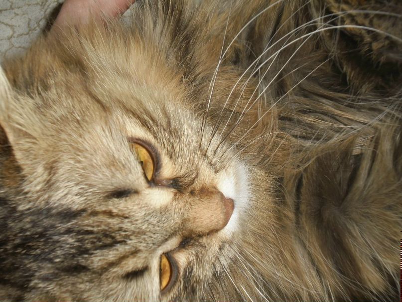 Женя Дмитриев фотография #37