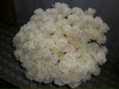 Фотография Петровой Екатерины