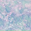 Фотография Αфанасьева Ηикиты