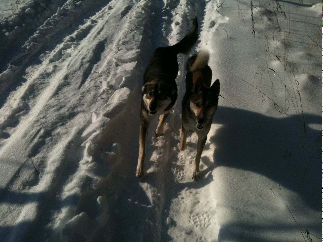 Дмитрий Васильев фотография #50