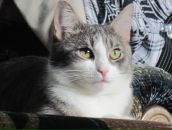 Фотография Набиевой Татьяны