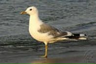 Фотография Ивахиной Анны