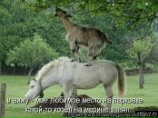 Фотография Борисовой Киры