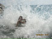 Фотография Климович Лены