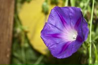 Дмитро Іванов фотография #37 (источник - https://vk.com/id7024687)