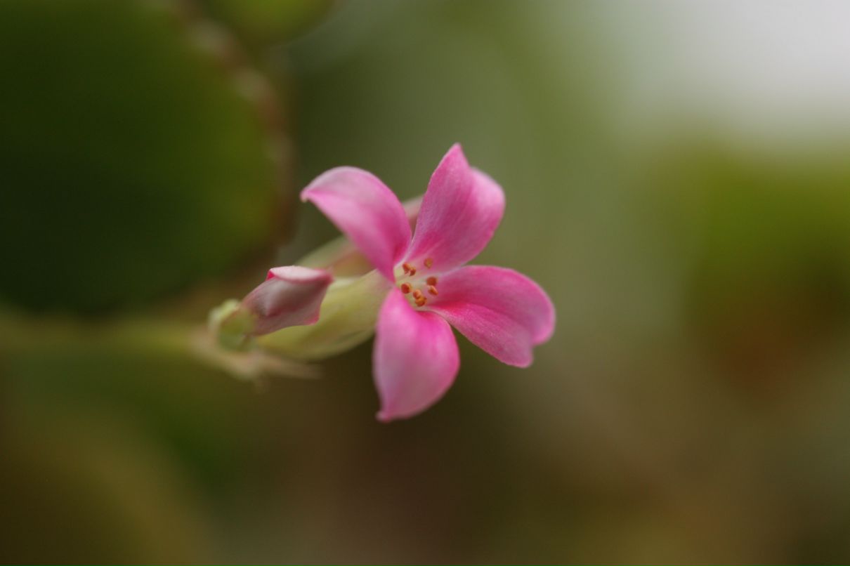 Фёдор Сумкин фотография #45