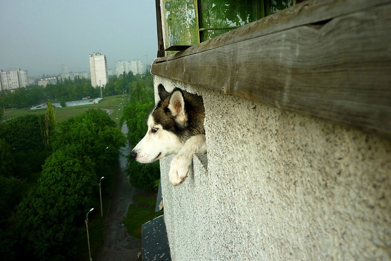 Дмитрий Башкатов фотография #42