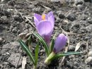 Ніна Кошицька фотография #7 (источник - https://vk.com/id54342130)