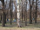 Станіслав Куделя фотография #40 (источник - https://vk.com/id123290561)