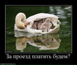 Таміла Пацьорка фотография #13 (источник - https://vk.com/id41547798)