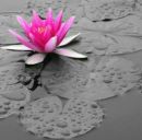 Анічка Михальчук фотография #5 (источник - https://vk.com/id161879607)