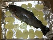 Міша Миронюк фотография #29 (источник - https://vk.com/id65674418)