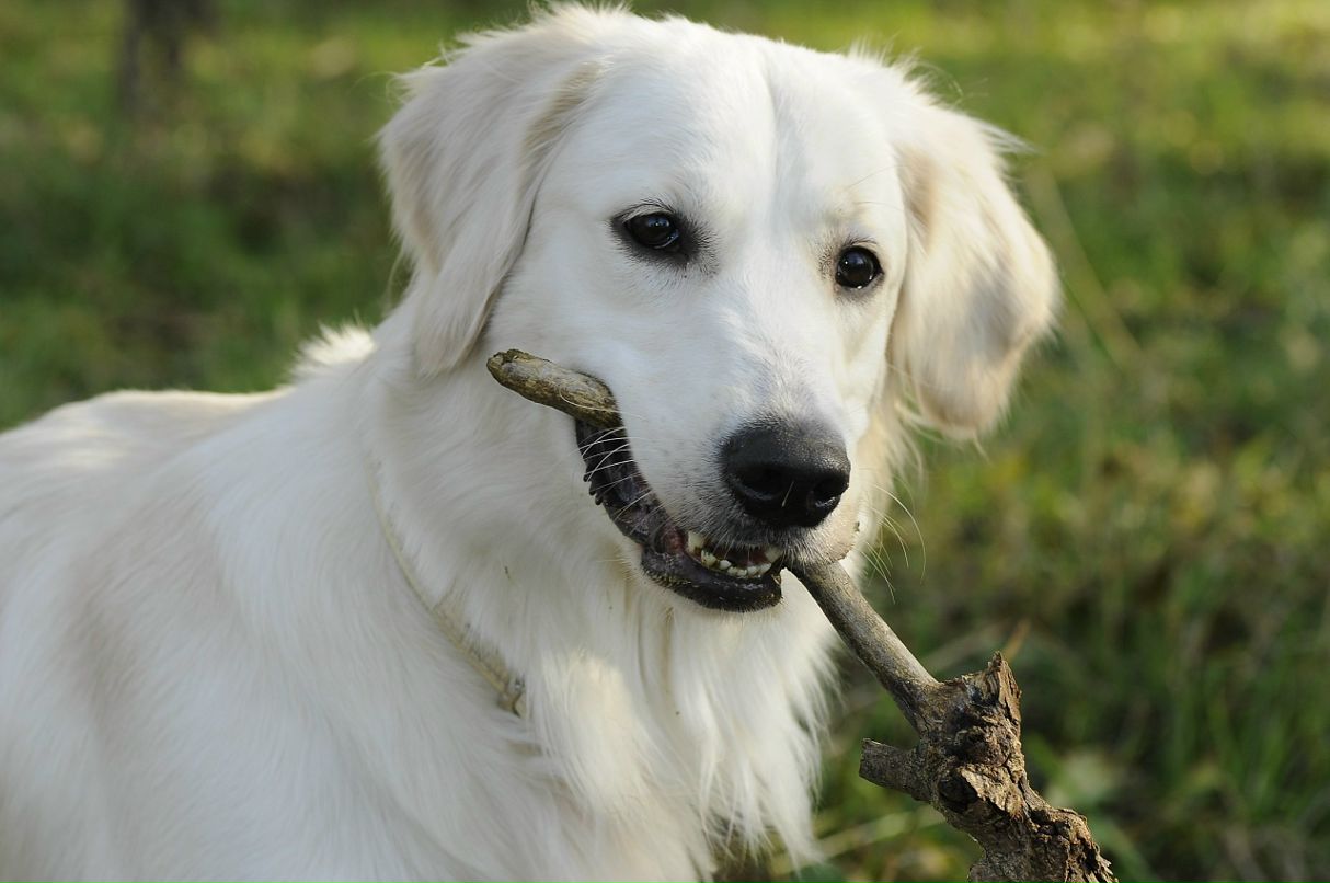 Неля Клименко фотография #44