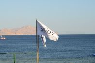 Фотография Белоусовой Александры