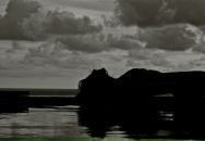 Фотография Сириной Юли