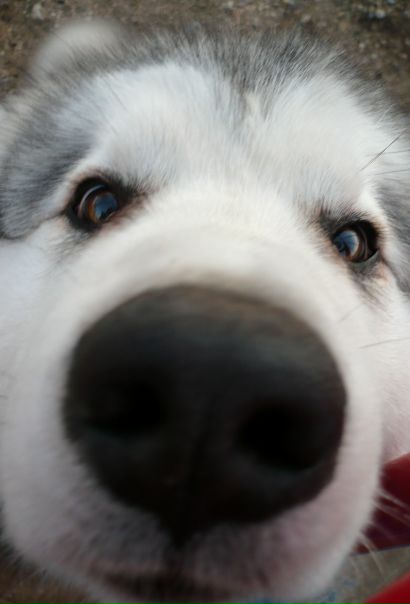 №16, Евгений Кузнецов №16, Евгений Кузнецов