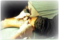 Фотография Стадника Алексея