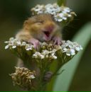 Фотография Митиной Юли