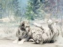 Фотография Хафизовой Миланы