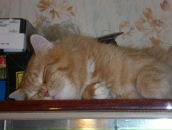 Фотография Руденко Милы