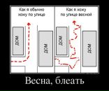 Денис Соловьев фотография #12 (источник - https://vk.com/id730284)