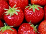 Фотография Игоревны Ольги