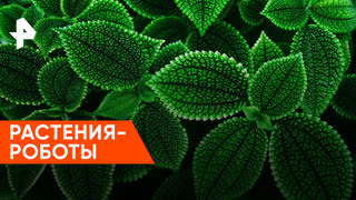 «Знаете ли вы, что?»: растения-роботы